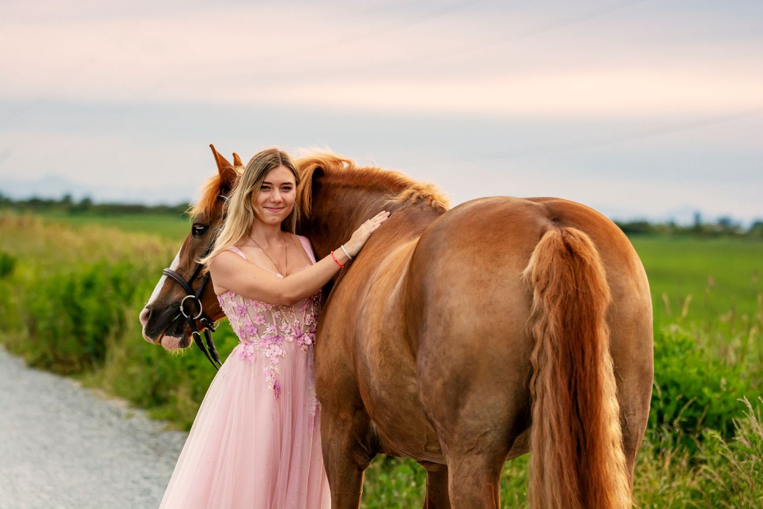 AE Equine Photography specializes in stunning horse photography in Delta, BC.