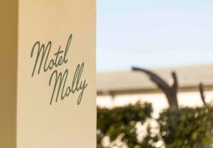 Motel Molly signage with blurred outdoor background.