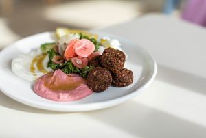 A collection of plated Mediterranean dishes featuring falafel, hummus, and pink sauce arranged on white plates in a row.