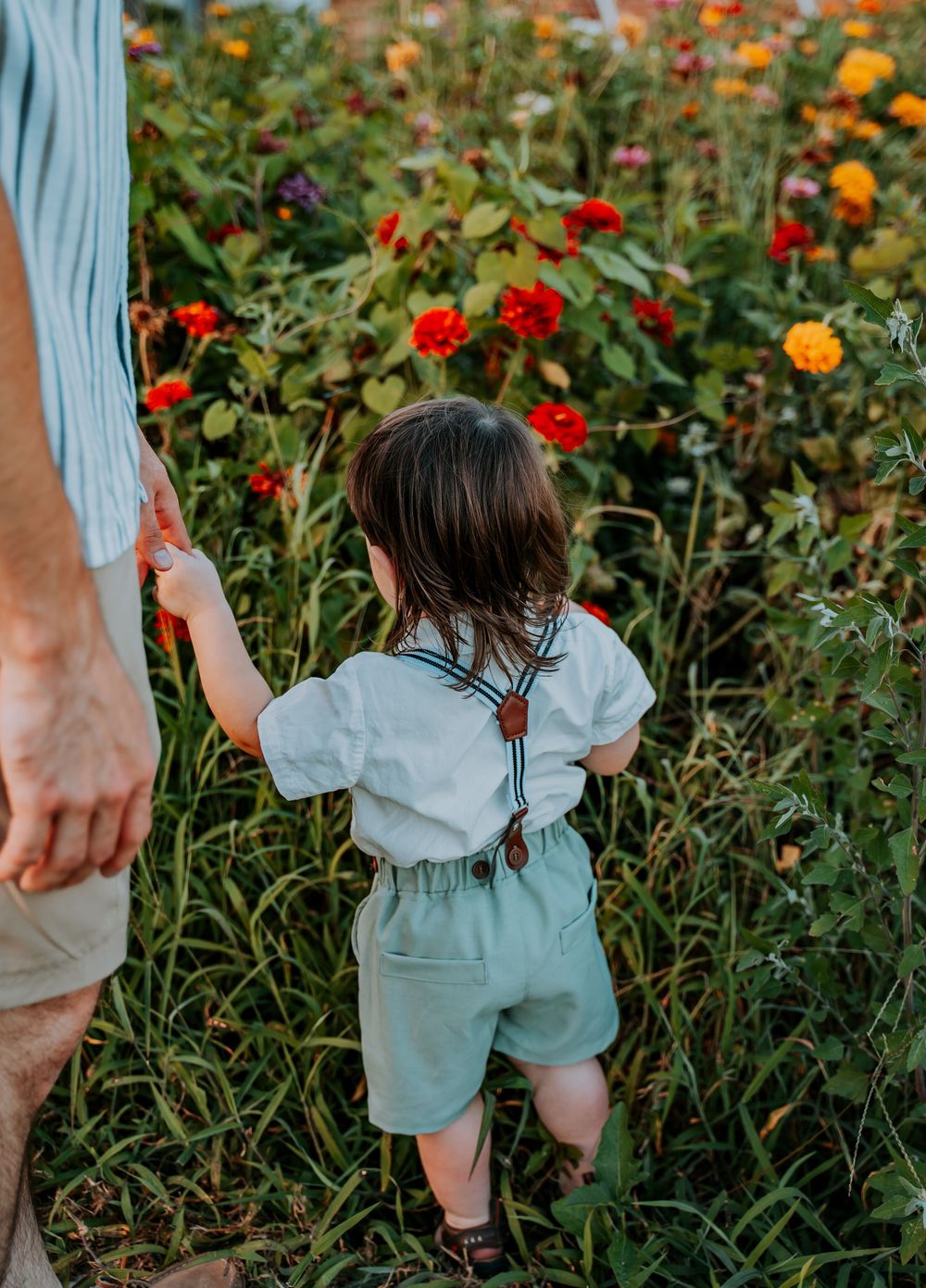 A child in denim overalls explores a vibrant garden filled with red and orange zinnias on a sunny day.
