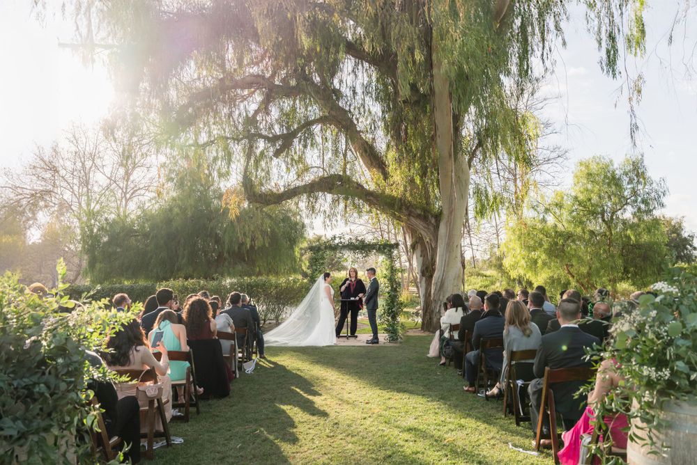 Garden wedding ceremony with guests seated under large willow tree during sunset.