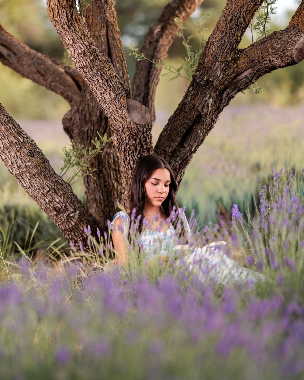 senior girl reading under a tree surrounded by a lavender field