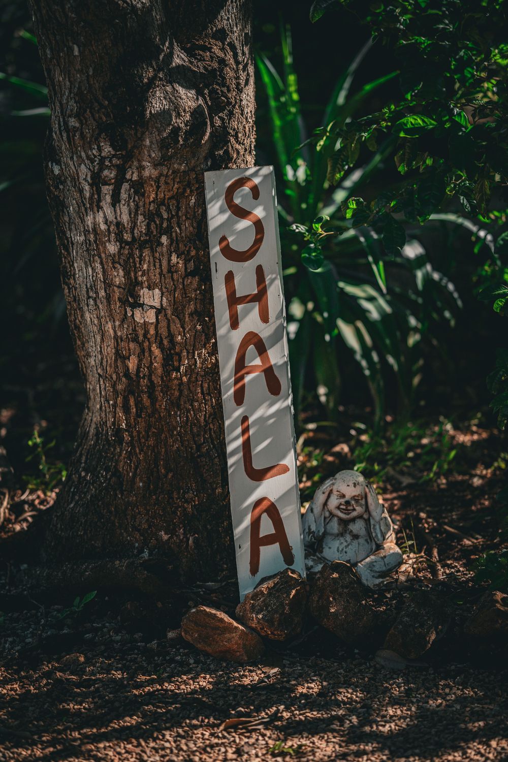 Wooden sign spelling SHALA attached to tree trunk with small garden ornament below.