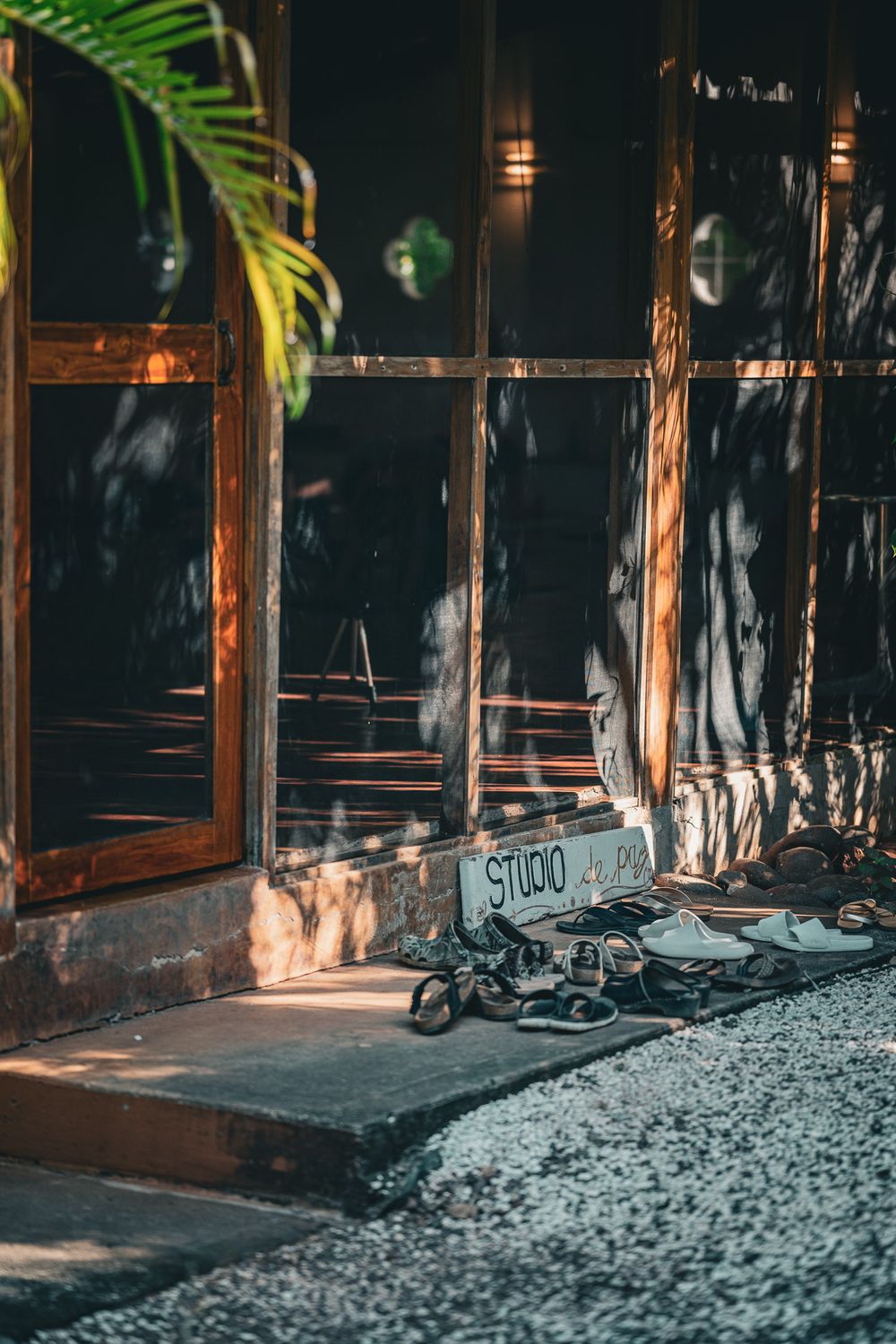 Moody entrance to a studio with palm fronds and wooden window frames at night.