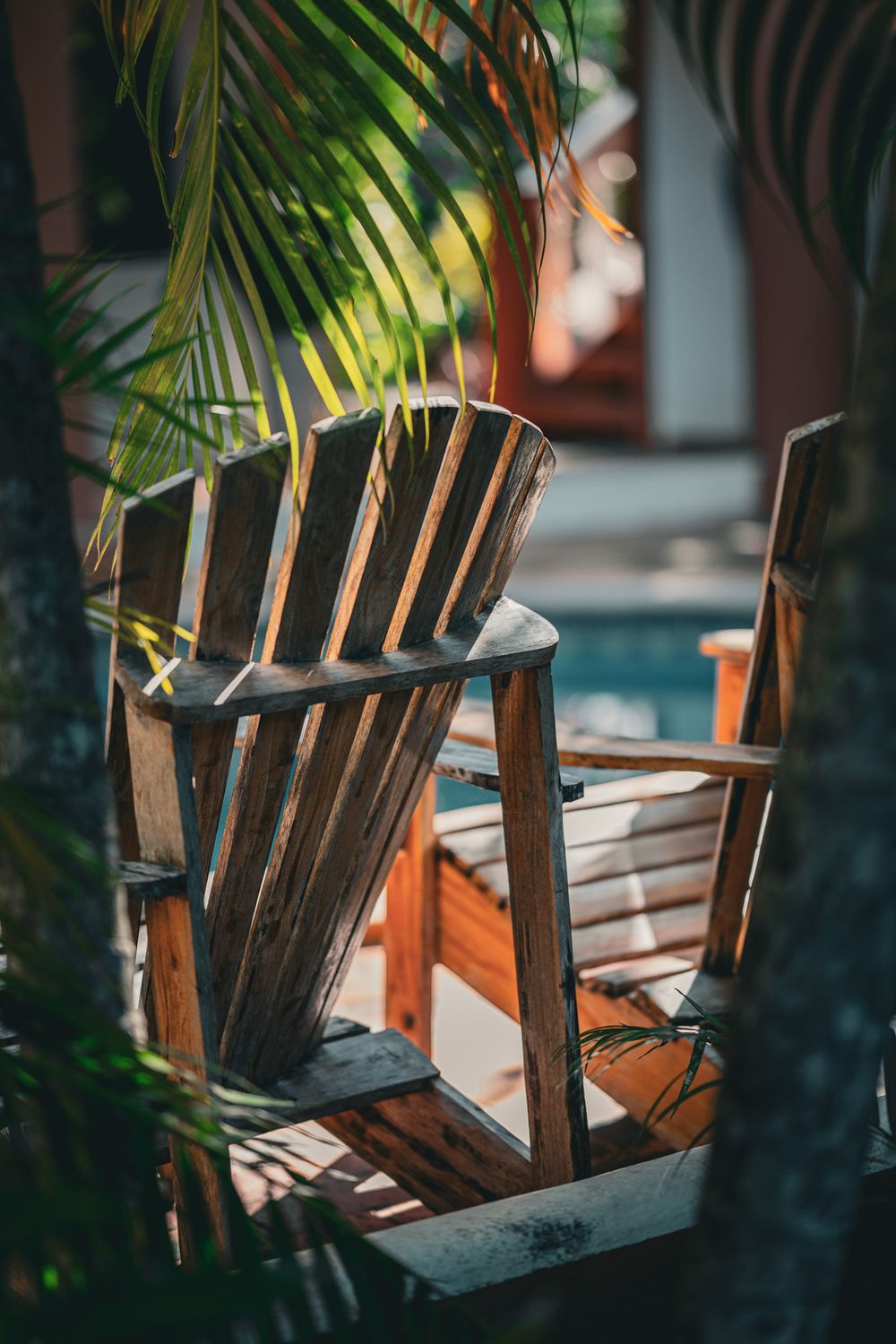 Wooden Adirondack chair under tropical palm leaves in natural sunlight.