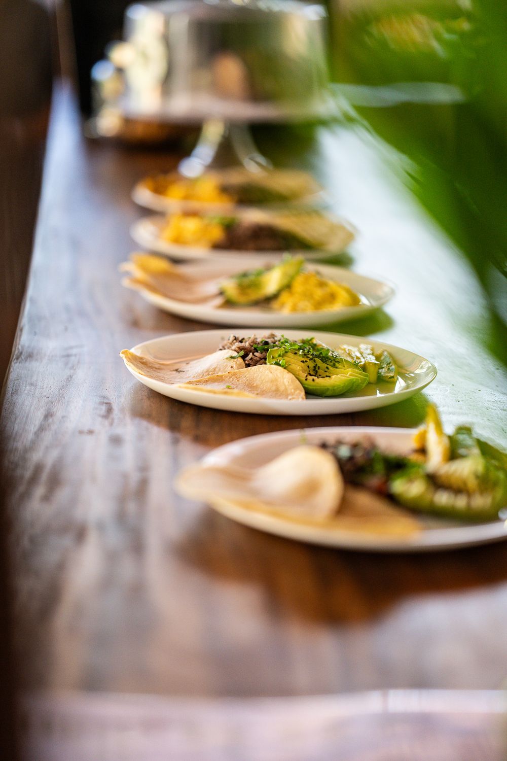 Row of elegant plated dishes on a wooden table with garnished food.