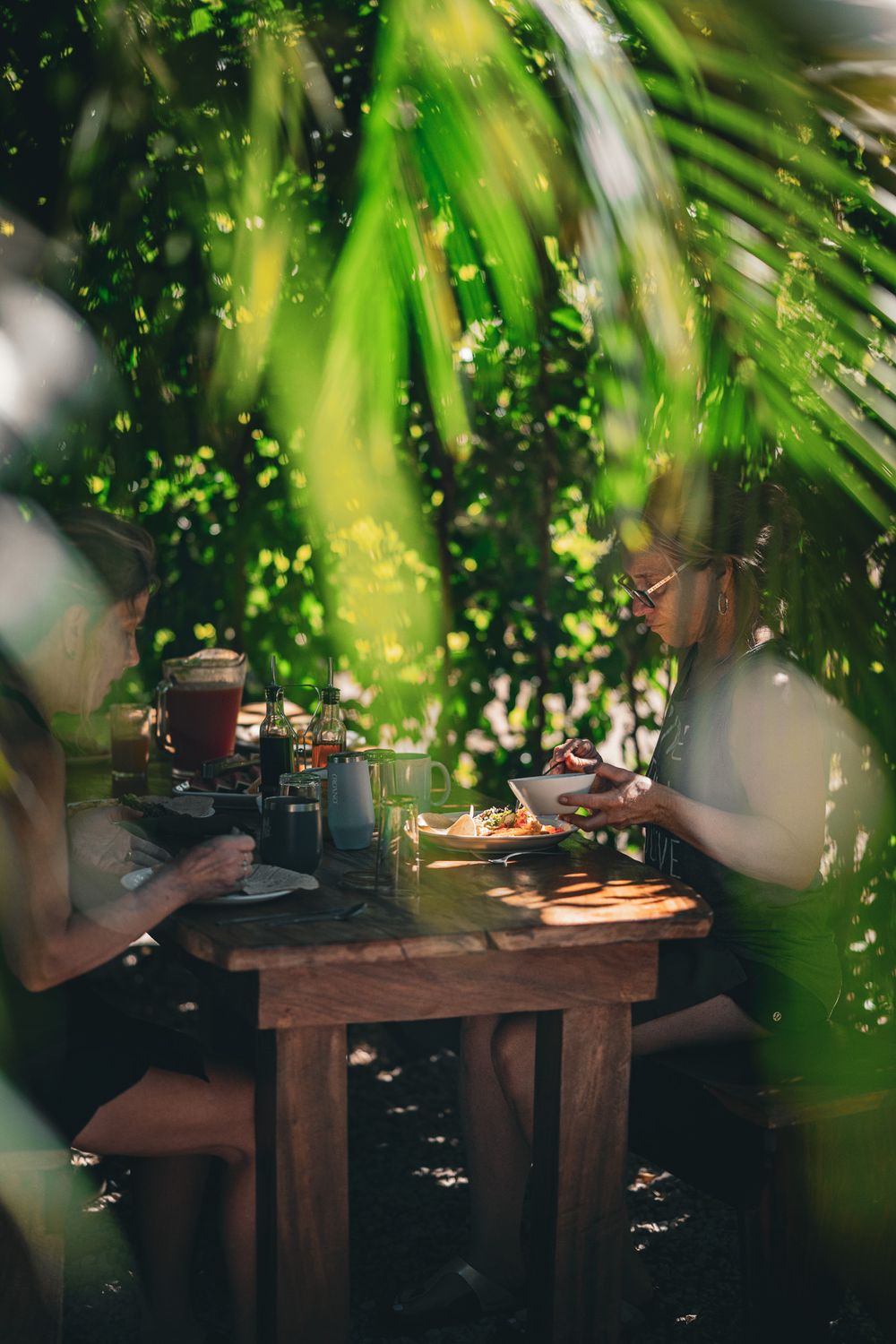 Dining table viewed through tropical palm leaves with sunlight streaming through.