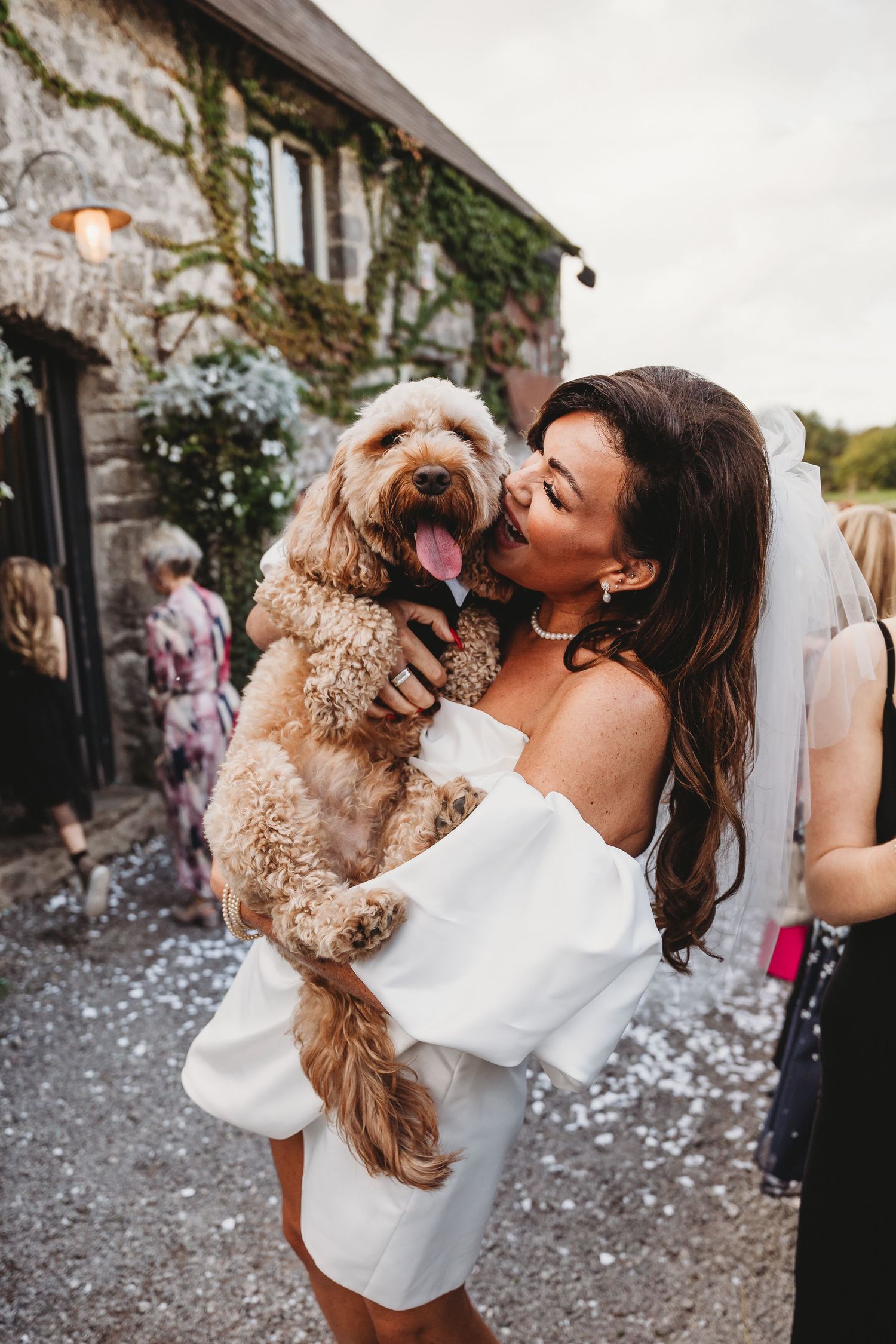 Brunette bride with a veil hold and smiles at her cockapoo dog at Cobble Wedding Venue in Ogmore