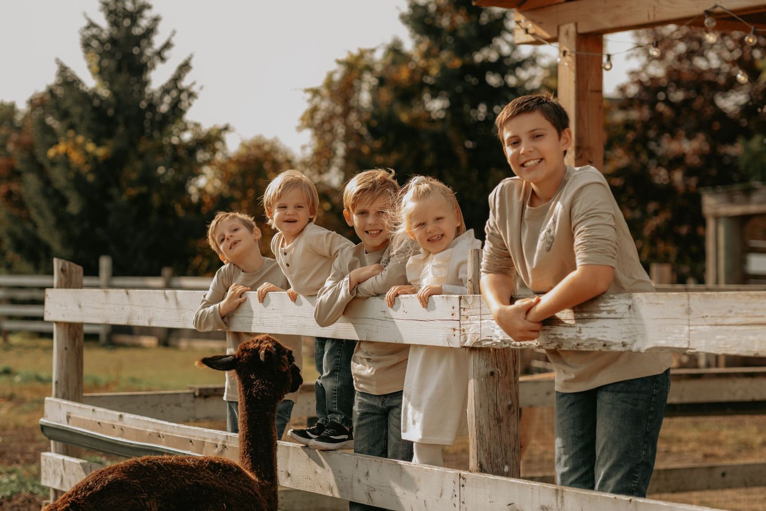 A group lined up along a white wooden fence at a farm during golden hour in the warm afternoon sunlight.