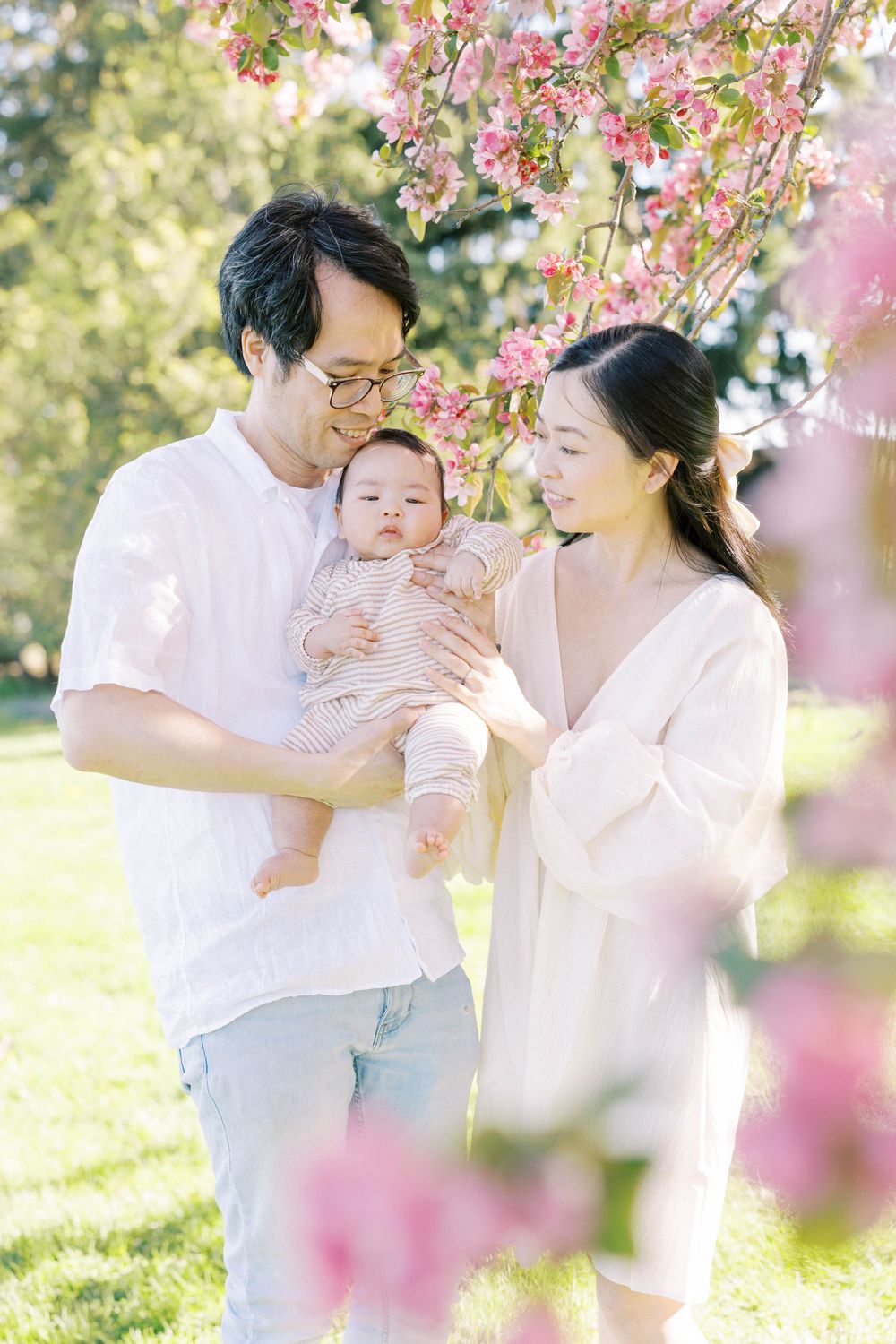Asian family with parents holding baby under pink cherry blossom tree in sunny park.