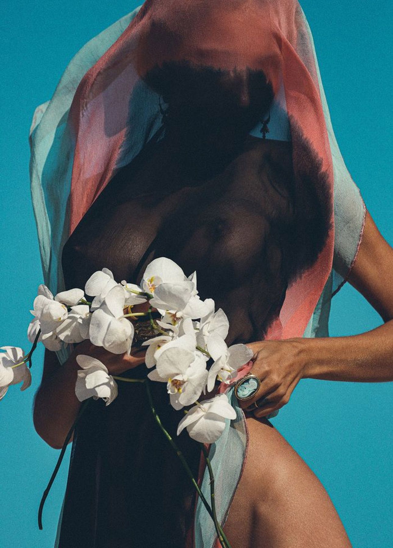 Figure in sheer coral fabric holds elegant white orchid flowers against vibrant turquoise background.