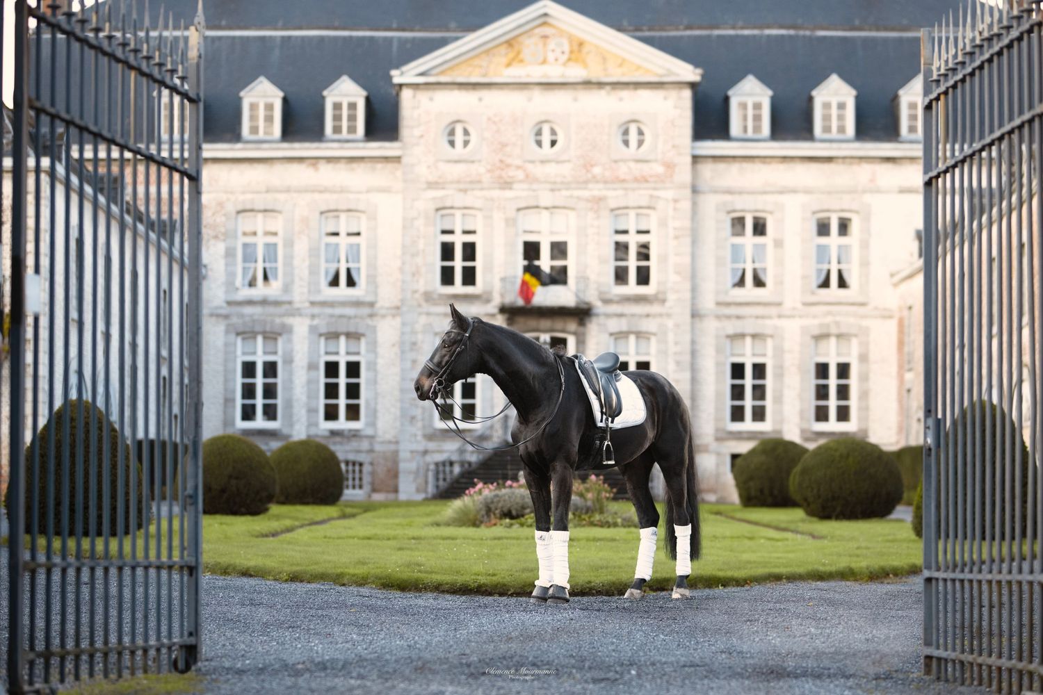 Grand estate mansion with ornate iron gates and manicured lawn in classical French style.