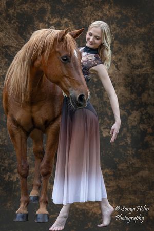 A photographic sequence shows interactions between a chestnut horse and someone in a flowing dress against a dark backdrop.