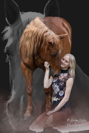 Artistic photography series showing a chestnut horse nuzzling against someone in a floral dress against a dark background.