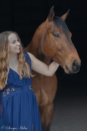 Person in navy blue dress stands with beautiful bay horse against dark background.