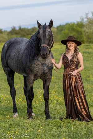 A majestic black horse stands in a green field next to someone in a brown dress and wide-brimmed hat.