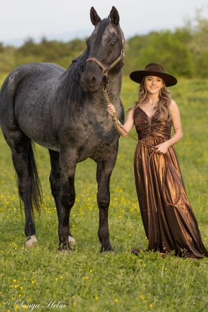 A beautiful black horse and someone in a flowing brown dress pose together in a wildflower meadow.