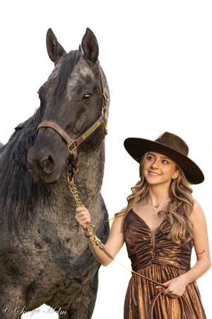 A portrait of a black horse with someone in a bronze-colored dress and brown cowboy hat.