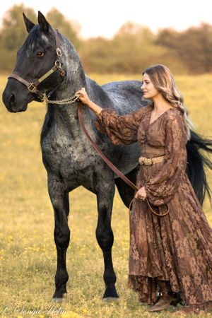 A romantic portrait of a black horse and someone in a flowing medieval-style brown dress at sunset.