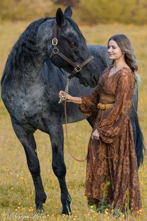 A regal portrait of a black horse with someone wearing a lace brown dress in an autumn field.
