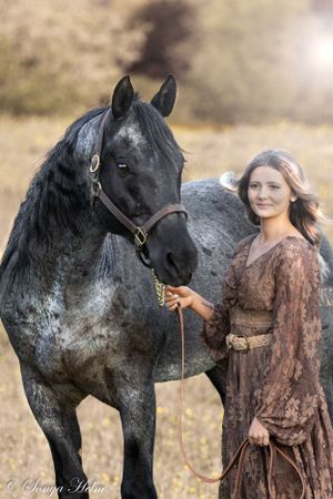 A striking black horse poses with someone in a vintage brown lace dress against a dreamy outdoor backdrop.
