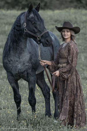 A stunning black horse stands with someone in vintage western attire in a pastoral meadow setting.