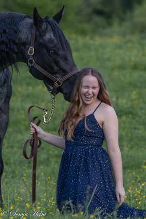A joyful outdoor portrait with a black horse and someone wearing a sparkling blue evening dress.