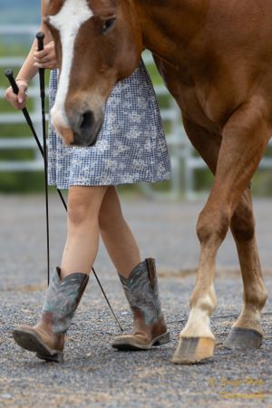 Close-up of cowboy boots and horse's hooves on gravel path.