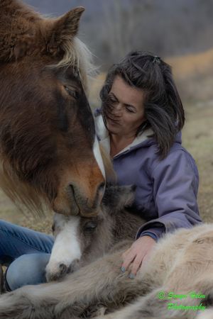 Intimate moment captured between a brown horse, foal and their caregiver.