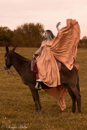 A dramatic sunset photo of a figure in flowing peach dress posed elegantly atop a dark horse.