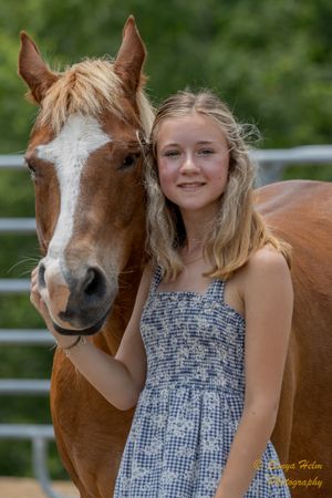 Chestnut horse with white blaze poses with companion near metal fence.