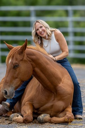 Chestnut horse laying down in enclosed arena with companion.