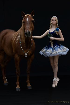 Elegant dance portrait featuring decorated horse and ballerina in blue tutu on pointe.