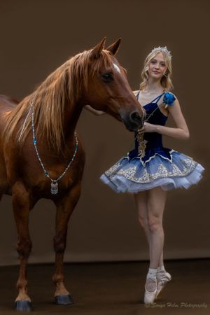 Artistic portrait of ballerina in blue costume with adorned chestnut horse in studio setting.