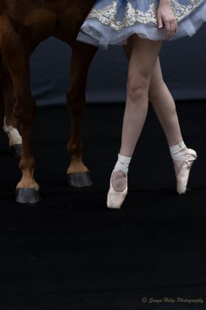 Close-up of ballet pointe shoes and horse hooves against a dark background.
