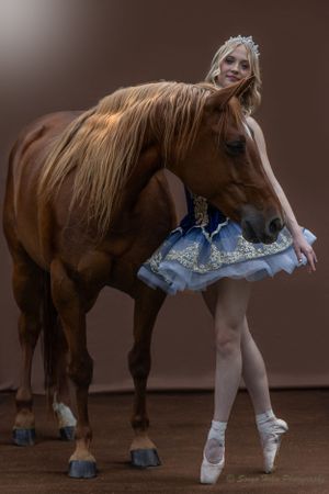 A ballerina in a blue tutu costume performs en pointe beside a chestnut horse.