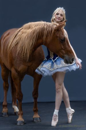 A dancer in pointe shoes and blue tutu performs an elegant pose next to a brown horse.