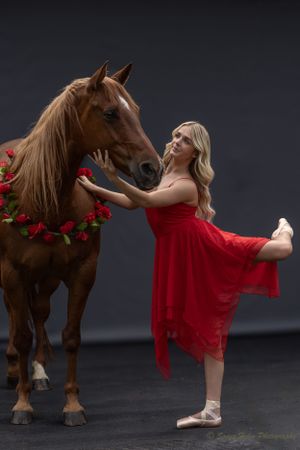 A dancer in red stretches gracefully while interacting with a chestnut horse wearing a rose garland.