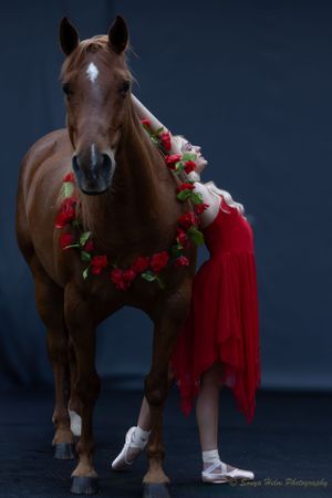 Brown horse adorned with red roses stands majestically with dancer in red dress.