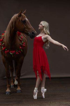 A ballerina in a red dress performs alongside a brown horse wearing a rose garland against a dark background.