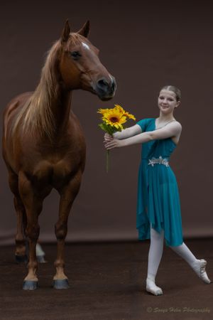 A graceful dance pose with a sunflower complements a magnificent brown horse in a studio setting.