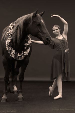 A dancer in a gray dress poses gracefully next to a dark horse wearing a floral wreath in a dramatic studio portrait.