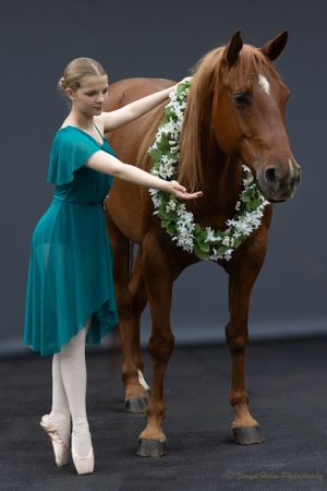 A ballet dancer in a teal dress stands en pointe beside a brown horse adorned with white flowers.