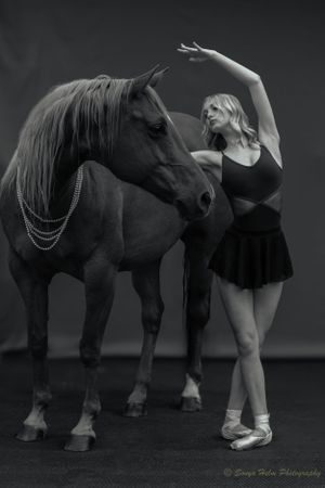 A ballet dancer in black dress performs an elegant pose next to a majestic horse with decorative neckwear.