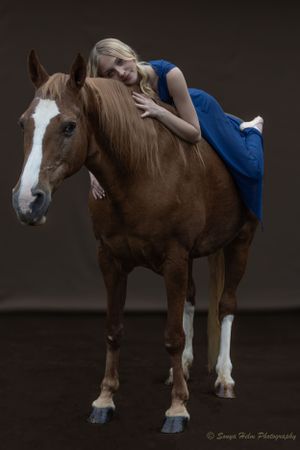 An artistic portrait showcasing a blue dress against the rich brown coat of a horse.