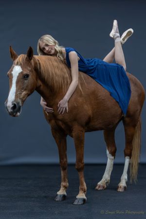 A dramatic studio portrait featuring a blue dress contrasting with a brown horse.