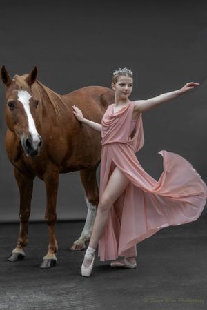 Ballerina in flowing pink dress and pointe shoes strikes graceful pose next to chestnut horse.