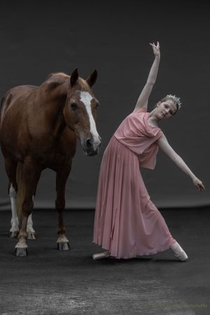A graceful dancer in pink performs alongside a chestnut horse in a dramatic studio setting.