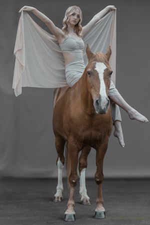 Dancer in light fabric poses dramatically atop brown horse with white markings against gray backdrop.