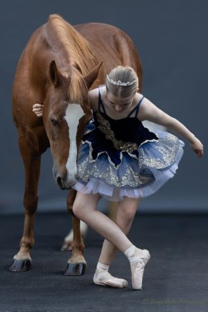 Ballet dancer in black tutu performs alongside chestnut horse in studio.